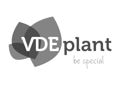 Logiqs references VDE-plant