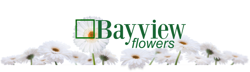 Logiqs-Bayview-Flowers