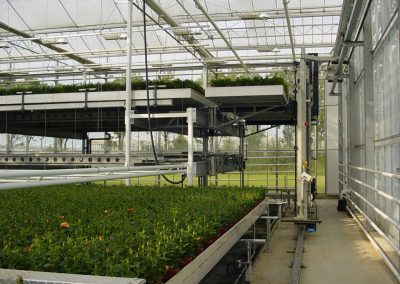 LOGIQS-multi-level-greenhouse-benching-systems